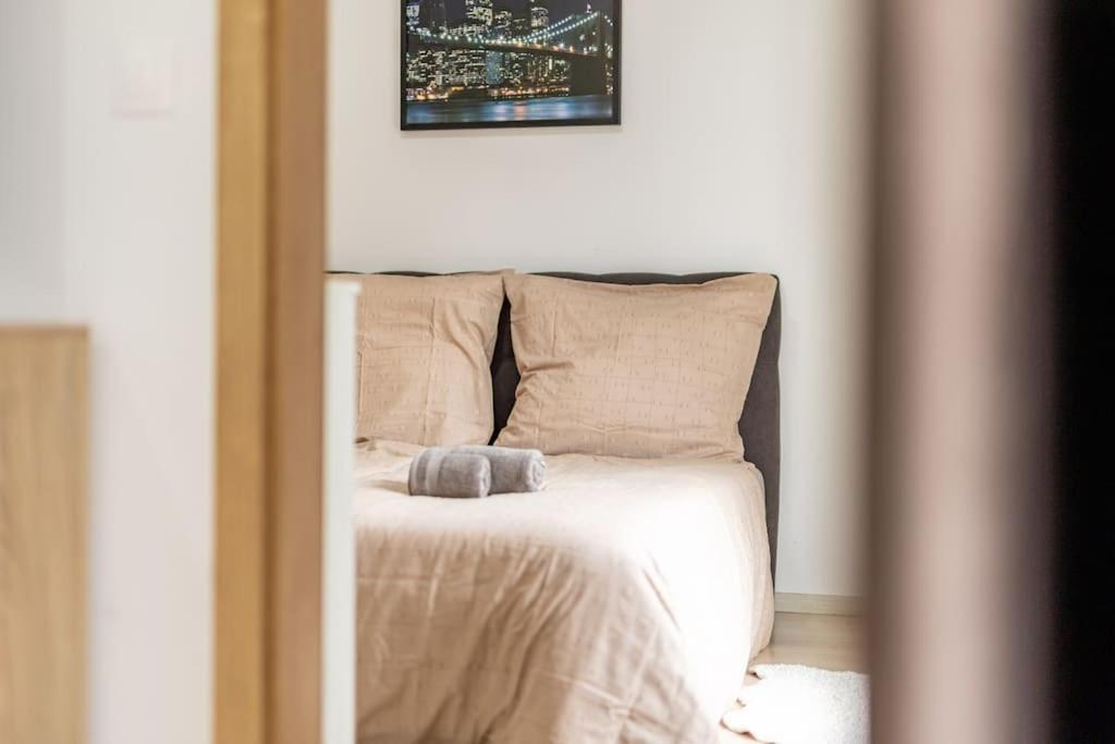 Cityscape Oasis: Active Studio Heaven 布拉迪斯拉发 外观 照片